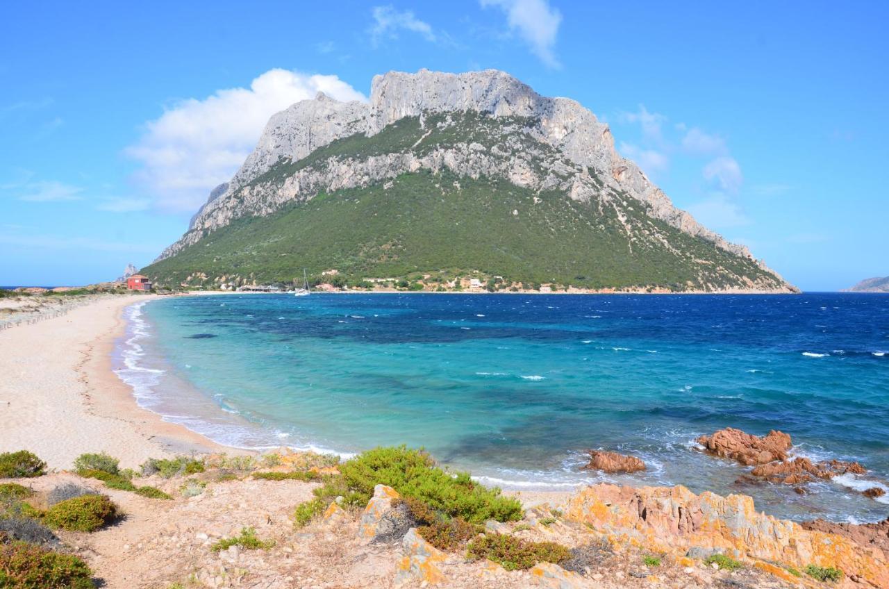Hotel dP Olbia - Sardinia Esterno foto